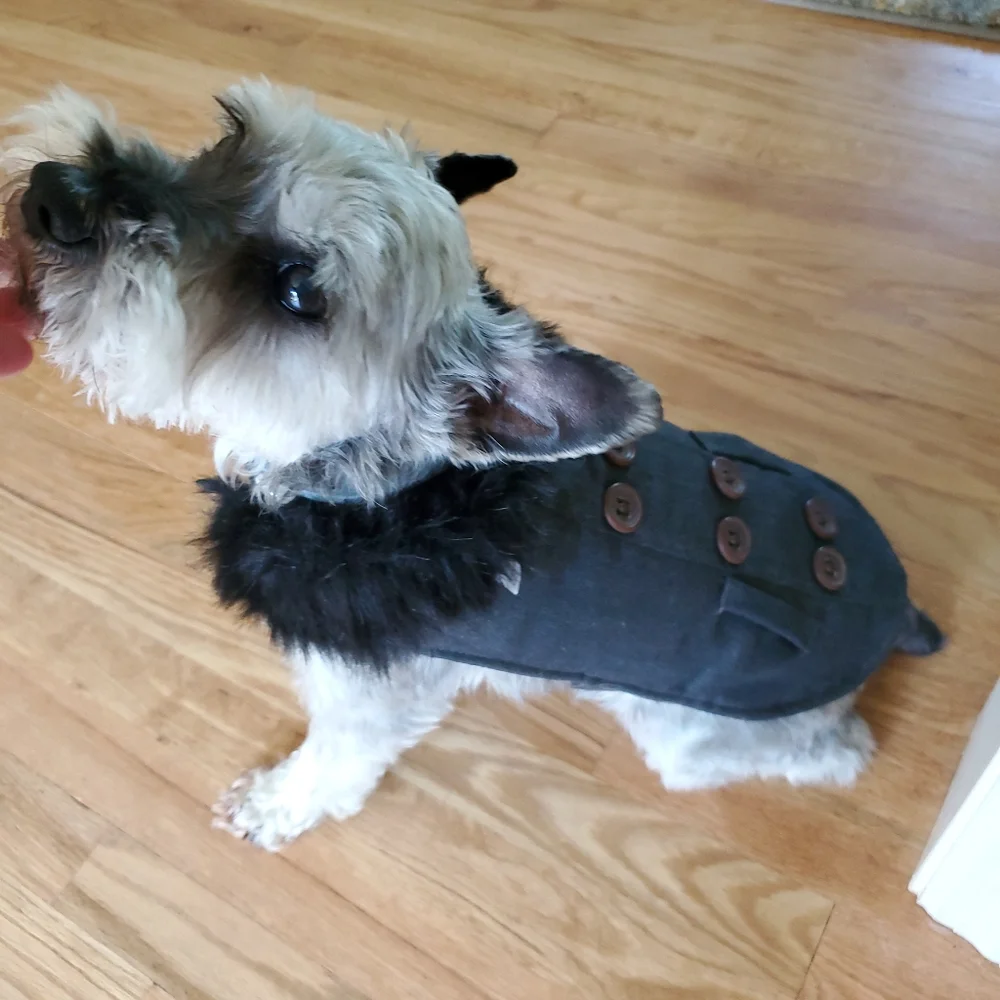 Dog Jacket with faux fur color Size Small
